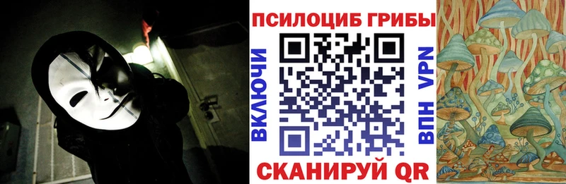 Псилоцибиновые грибы Cubensis  Звенигород 